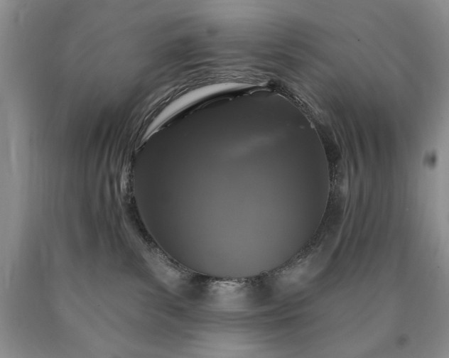 X0000090440139200707201301