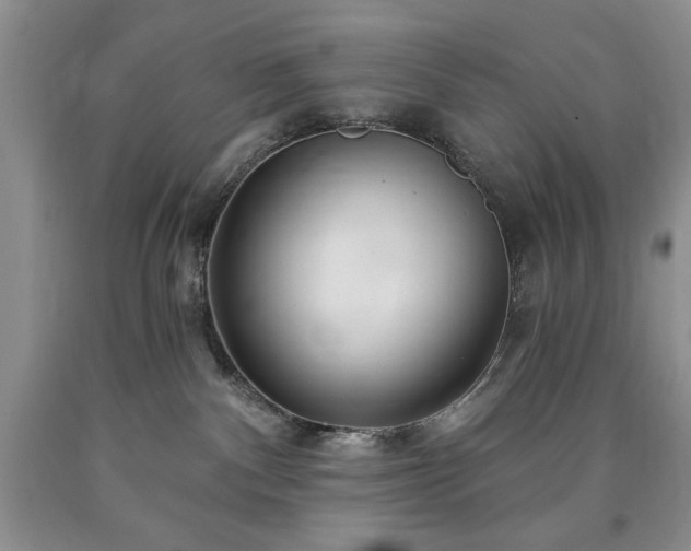 X0000090440140200707201301