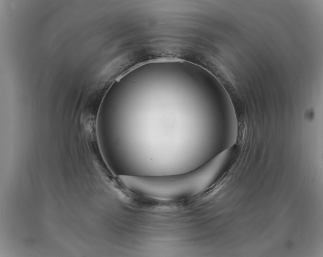 X0000090440141200707201301