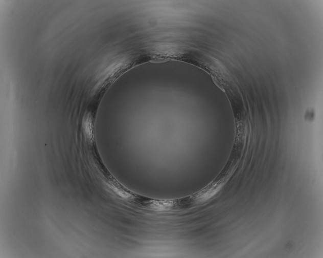 X0000090440143200707201301