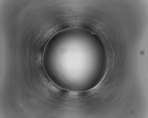 X0000090440144200707201301