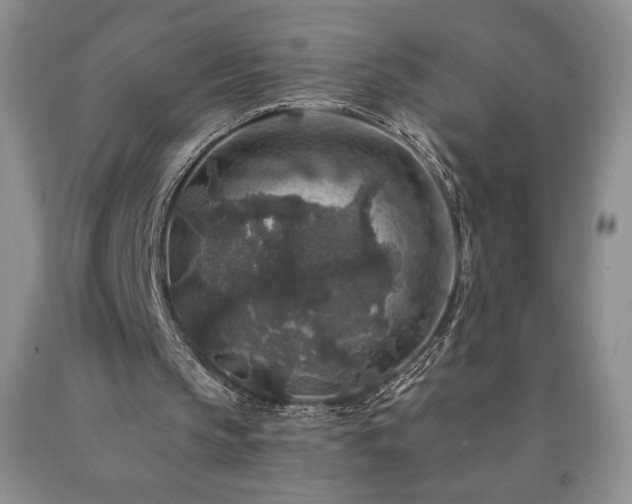 X0000090440145200707201300