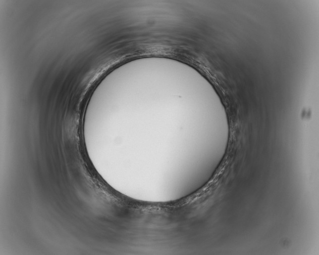 X0000090440146200707201300