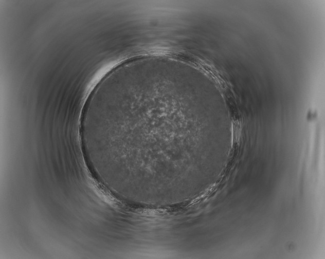 X0000090440147200707201300