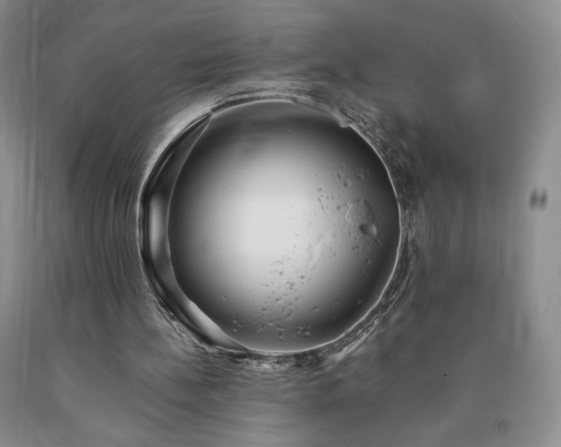 X0000090440148200707201300