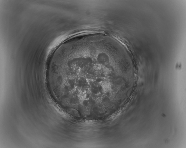 X0000090440149200707201300