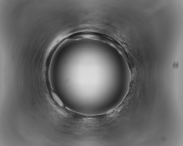 X0000090440150200707201300