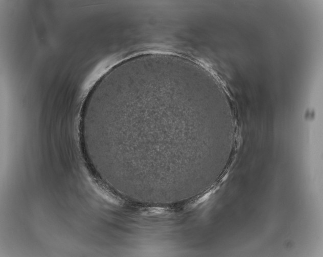 X0000090440151200707201300