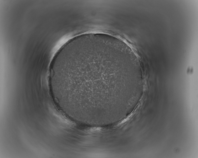 X0000090440152200707201300