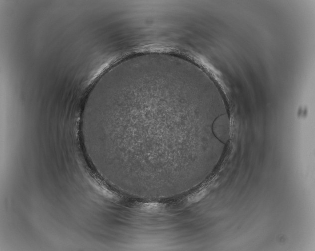 X0000090440153200707201300