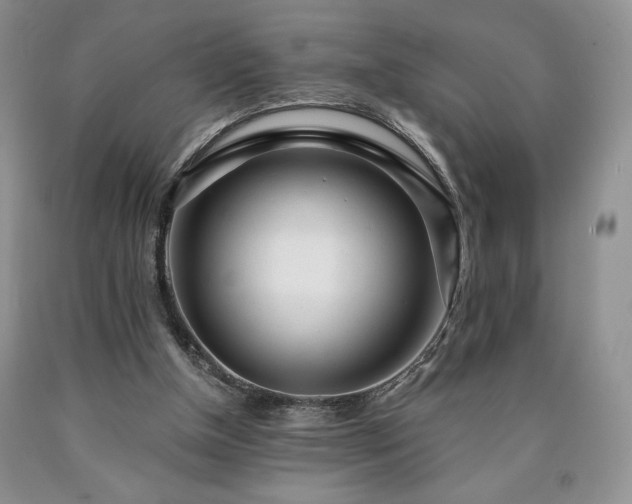 X0000090440154200707201300