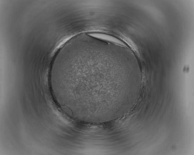 X0000090440155200707201300