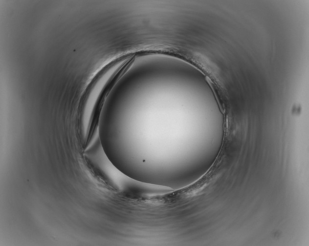 X0000090440156200707201300