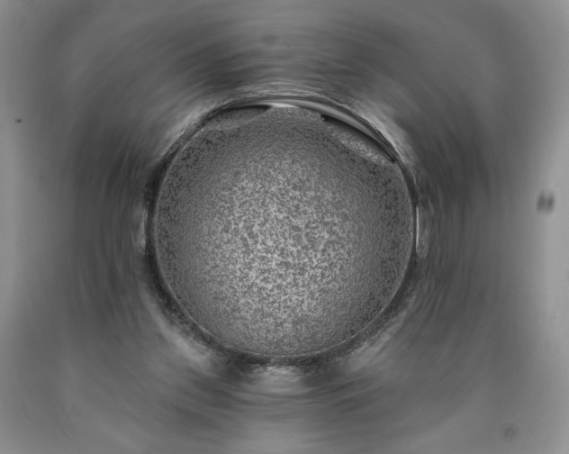 X0000090440157200707201300