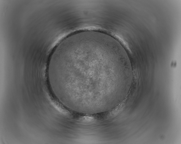 X0000090440159200707201300