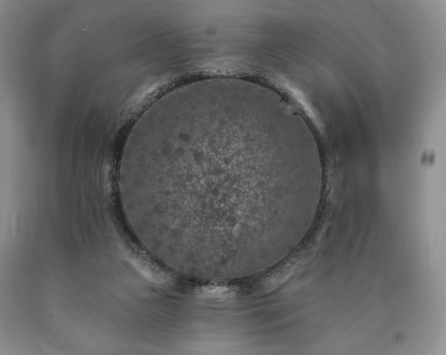 X0000090440161200707201300