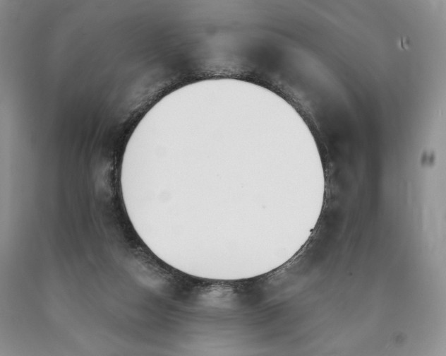 X0000090440162200707201300