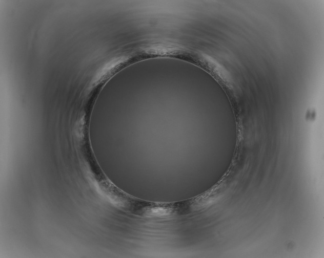 X0000090440163200707201300