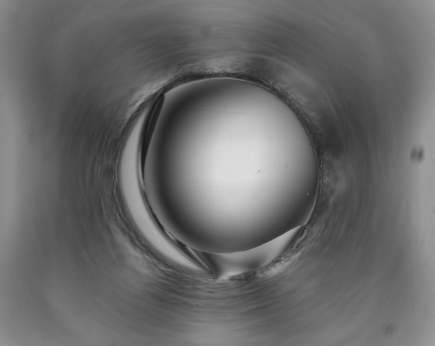 X0000090440164200707201300