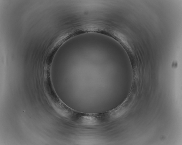 X0000090440167200707201300