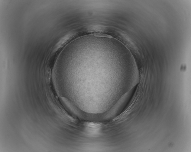 X0000090440168200707201300