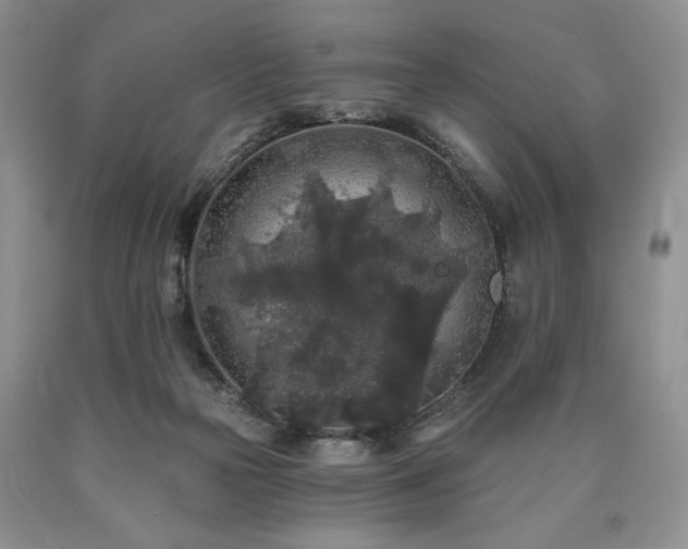 X0000090440169200707201300