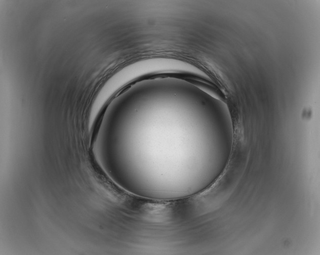 X0000090440170200707201300