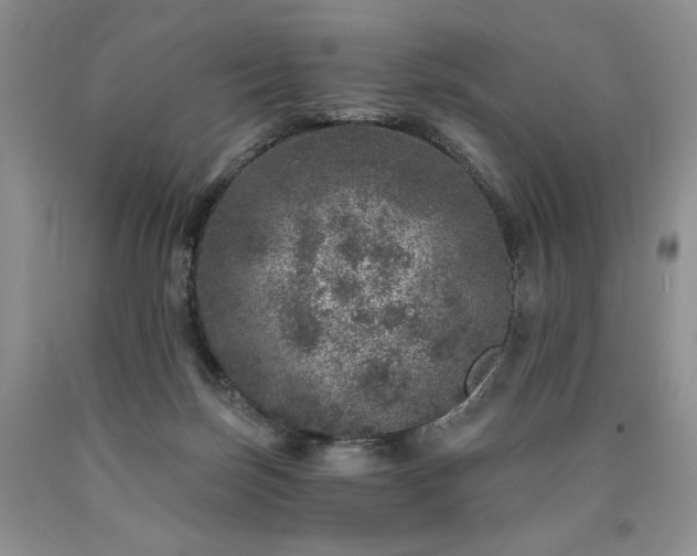 X0000090440171200707201300