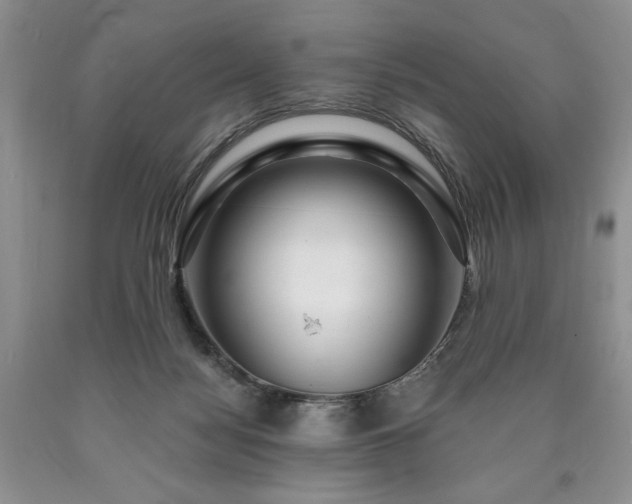 X0000090440172200707201300