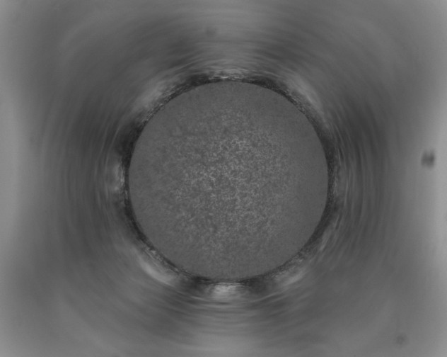 X0000090440173200707201301