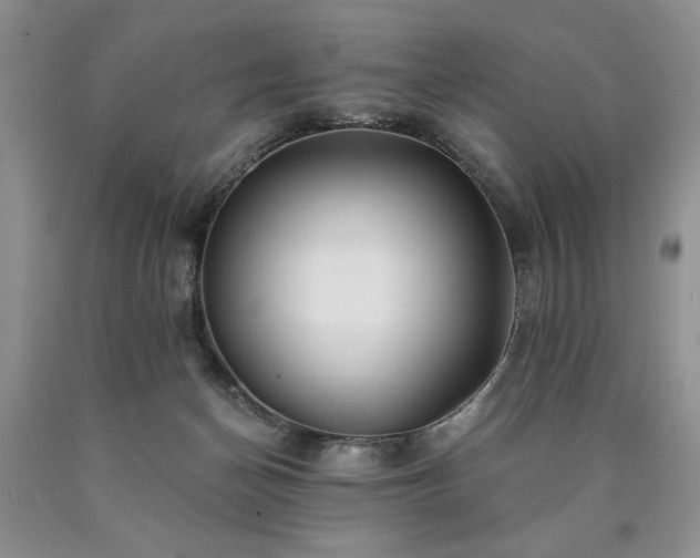 X0000090440174200707201301