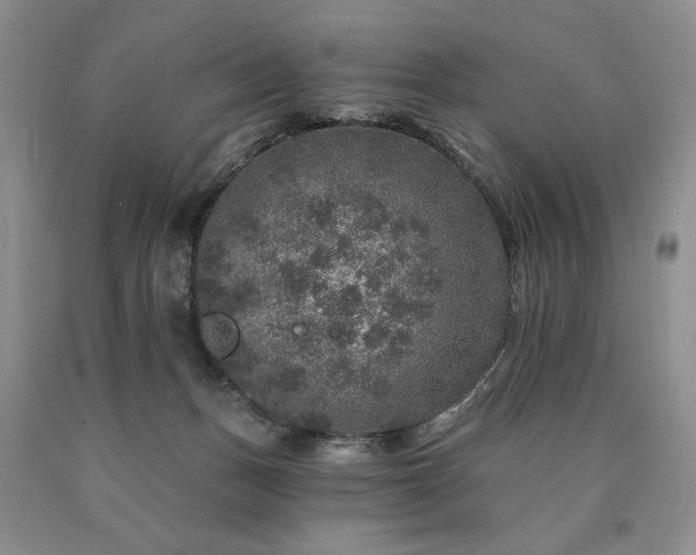 X0000090440175200707201301