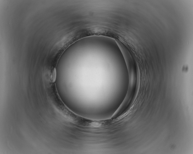 X0000090440176200707201301