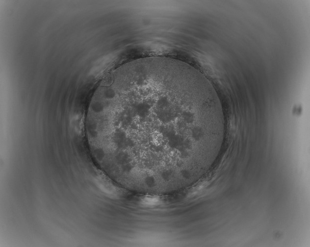 X0000090440177200707201301