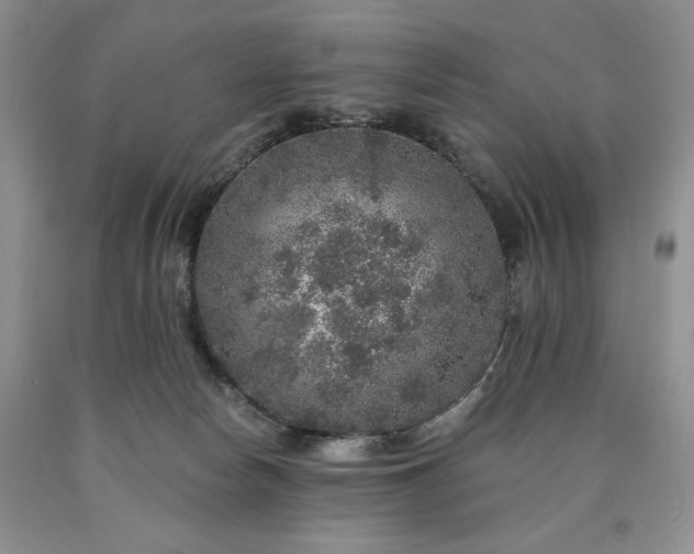 X0000090440178200707201301