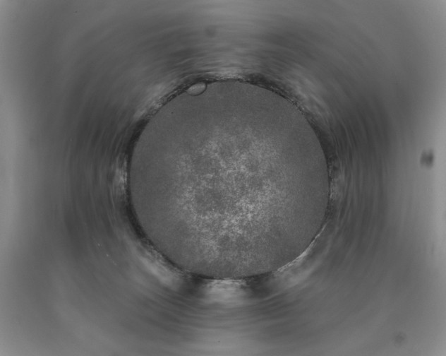 X0000090440179200707201301