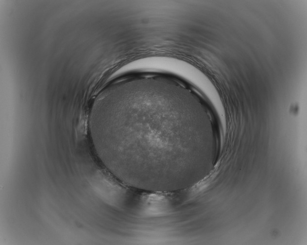 X0000090440180200707201301