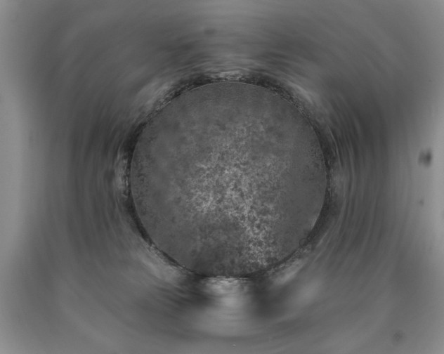 X0000090440181200707201301