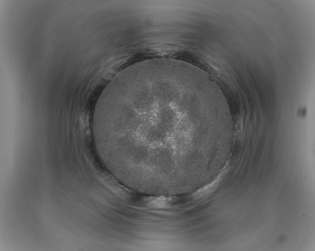 X0000090440182200707201301