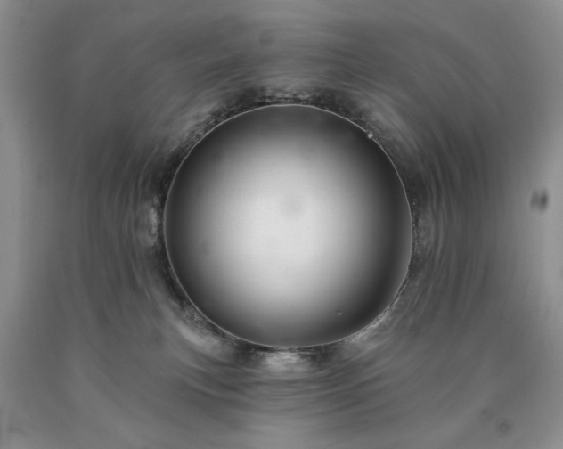 X0000090440183200707201301