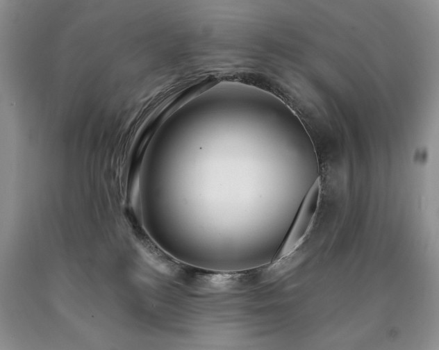 X0000090440184200707201301