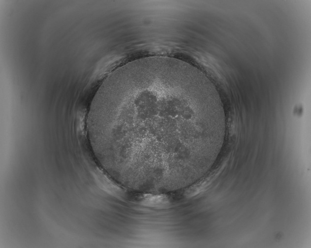 X0000090440185200707201301