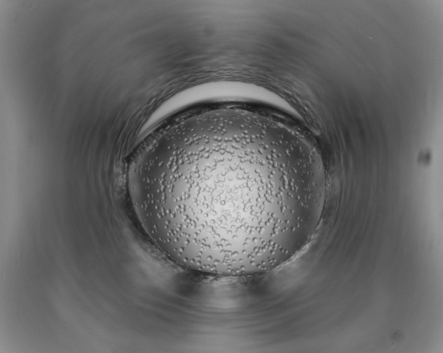 X0000090440186200707201301