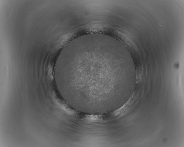 X0000090440187200707201301