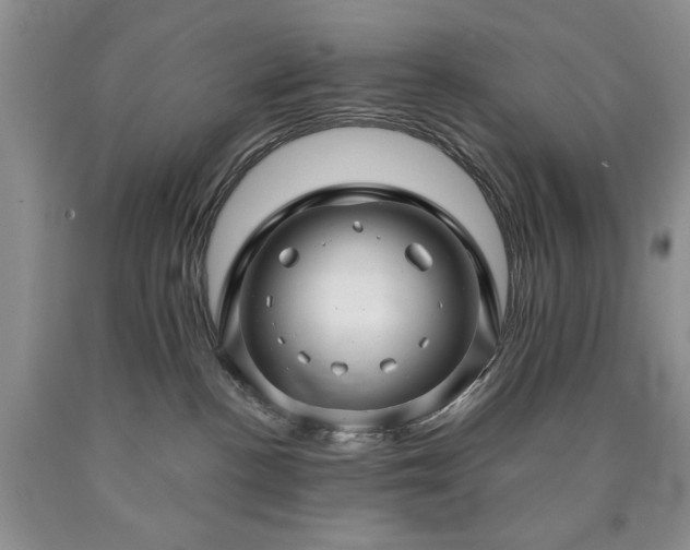 X0000090440188200707201301