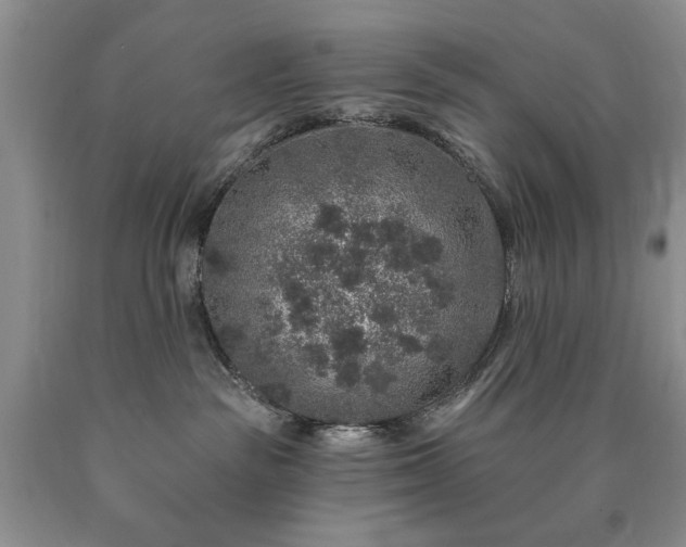 X0000090440189200707201301