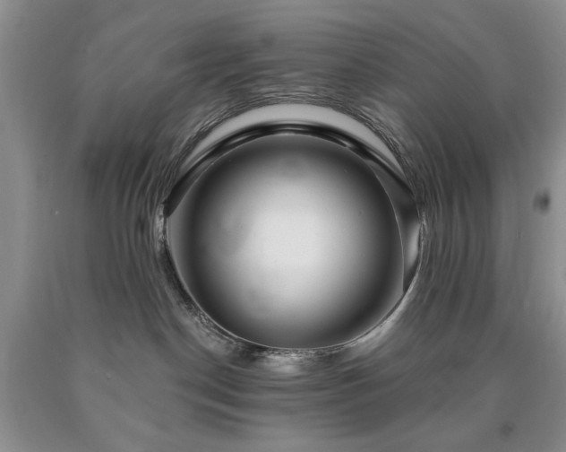 X0000090440190200707201301