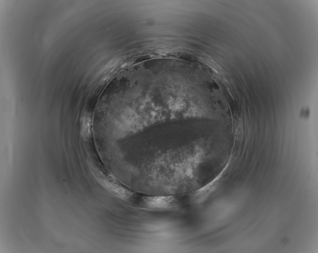 X0000090440191200707201301