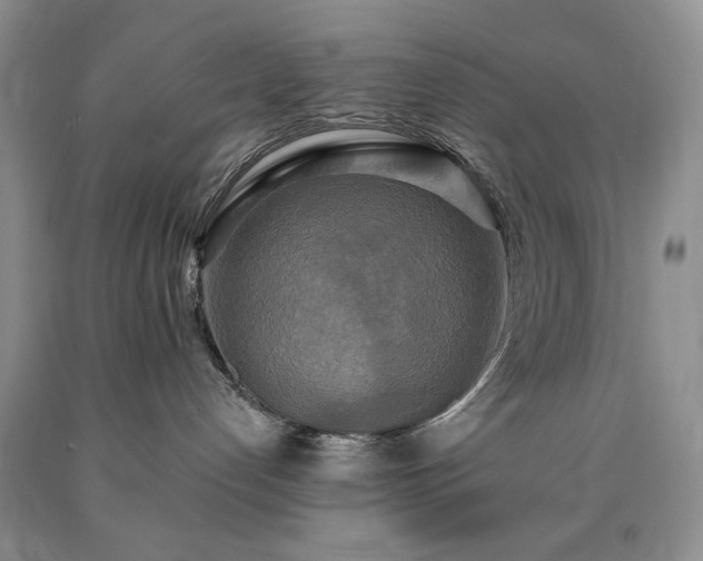 X0000090440192200707201301