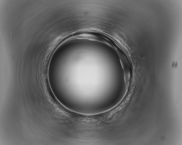 X0000090440193200707201300